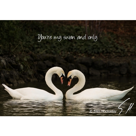 Show your love of wildlife this Valentine's Day eCards