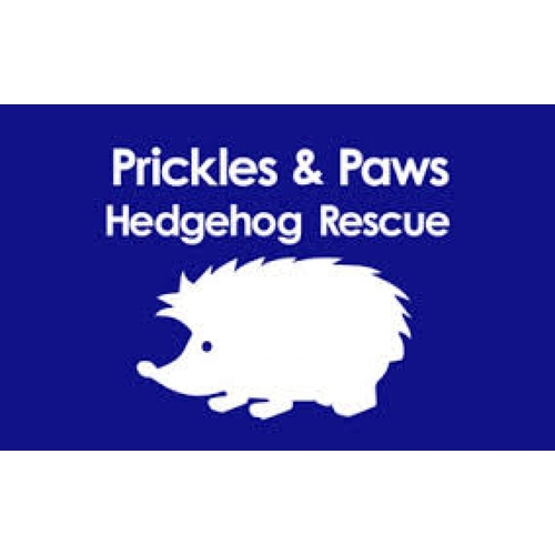 Prickles and Paws Hedgehog Rescue eCards