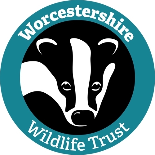 Worcestershire Wildlife Trust eCards