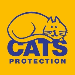 Cats Protection eCards