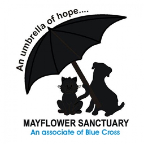 Mayflower Sanctuary eCards