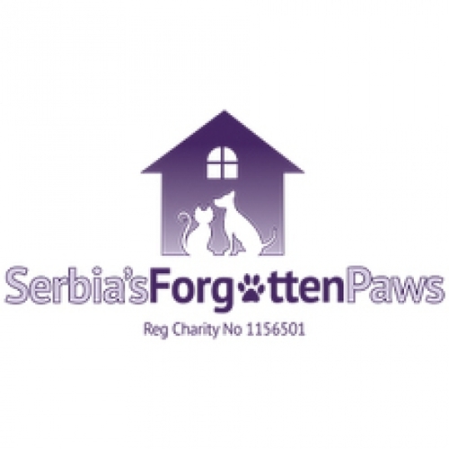 Serbia's Forgotten Paws eCards