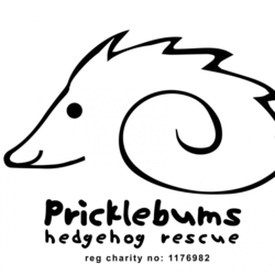 Pricklebums Hedgehog Rescue eCards
