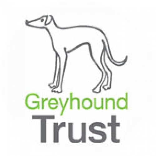 Greyhound Trust eCards