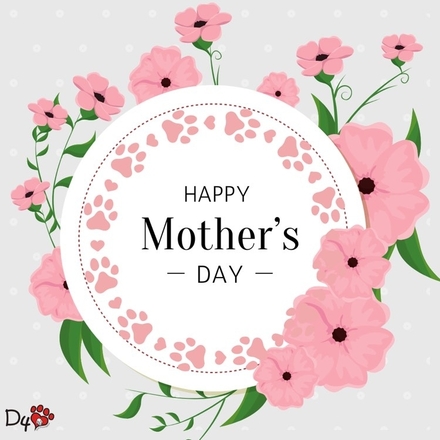 Send a Mother's Day E-Card eCards