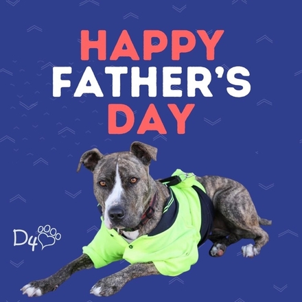 Send a Father's Day E-Card eCards