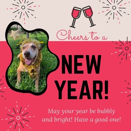 Send New Year E-Cards eCards