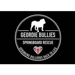 Geordie Bullies Springboard rescue eCards