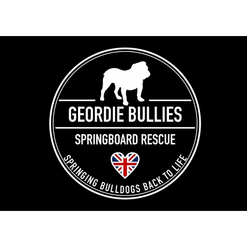 Geordie Bullies Springboard rescue eCards