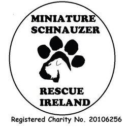 Miniature Schnauzer Rescue Ireland eCards