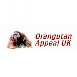 Orangutan Appeal UK eCards