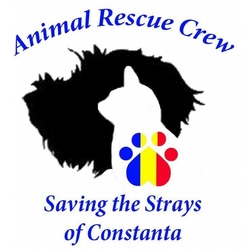 Animal Rescue Crew eCards