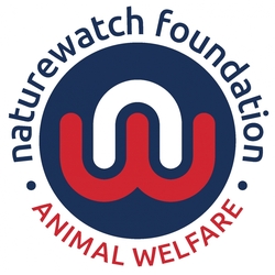 Naturewatch Foundation eCards