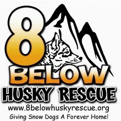 8 Below Husky Rescue eCards