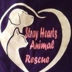 Stray Hearts Animal Rescue, Inc. eCards
