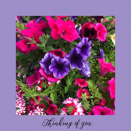 Thinking of you eCards