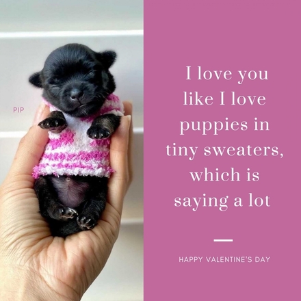 Send a Valentine's Day E-Card eCards