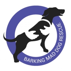 Barking Mad Dog Rescue eCards