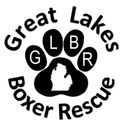 Great Lakes Boxer Rescue eCards