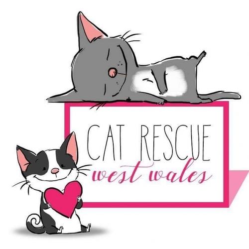 Cat Rescue West Wales eCards