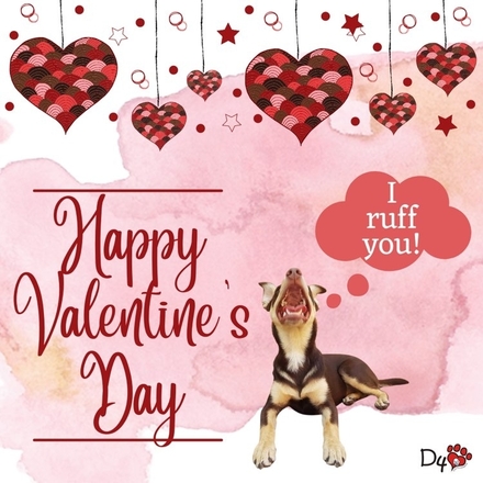 Send a Valentine's Day E-Card eCards