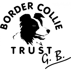 Border Collie Trust GB eCards
