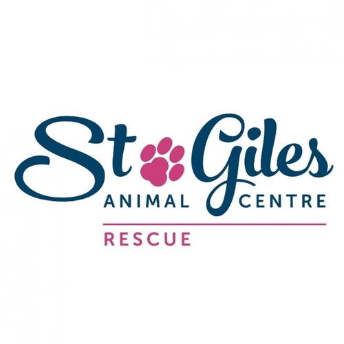 St Giles Animal Rescue eCards