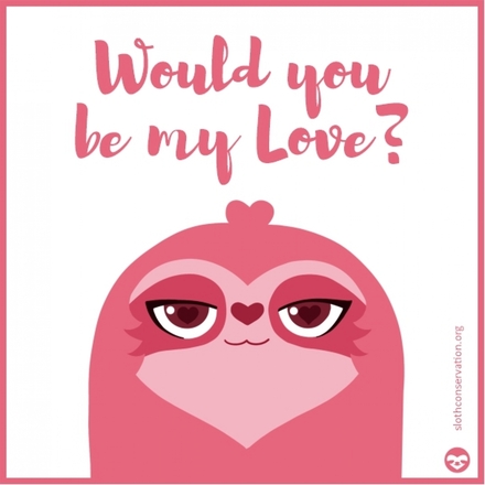 Celebrate with Sloth Love eCards