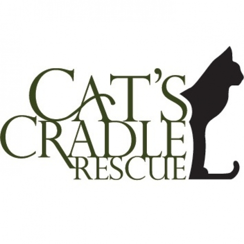 Cat's Cradle Rescue eCards