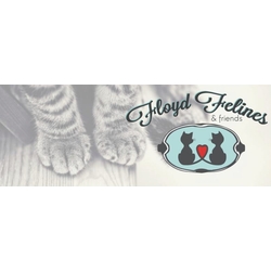 Floyd Felines and Friends eCards