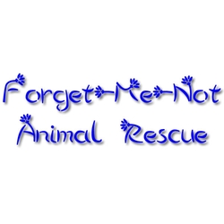 Forget-Me-Not Animal Rescue eCards