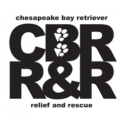 Chesapeake Bay Retriever Relief & Rescue eCards