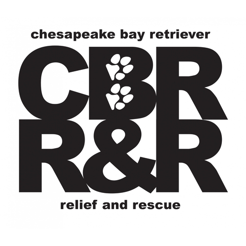 Chesapeake Bay Retriever Relief & Rescue eCards