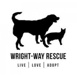 Wright-Way Rescue eCards