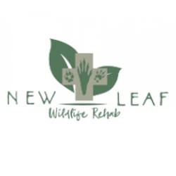 New Leaf Wildlife Rehab eCards