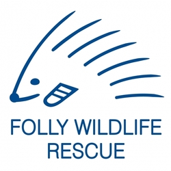 Folly Wildlife Rescue eCards