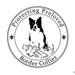 Protecting Preloved Border Collies eCards