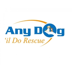 Any Dog 'il Do Rescue eCards