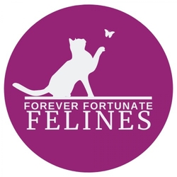 Forever Fortunate Felines eCards