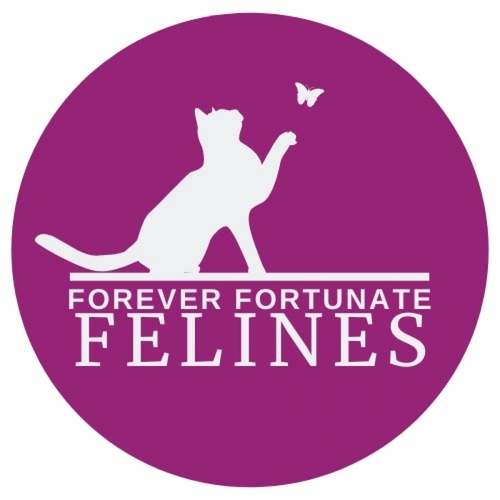 Forever Fortunate Felines eCards