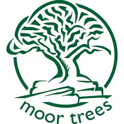 Moor Trees eCards