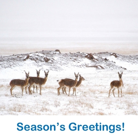Send Tibet Relief Fund e-cards this festive season! eCards