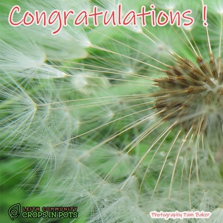 Congratulations! eCards