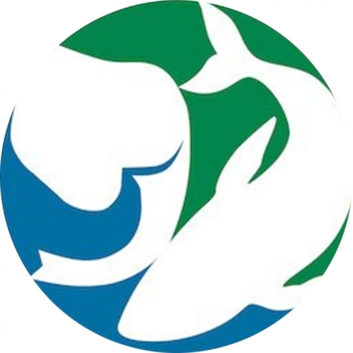 Earth League International eCards