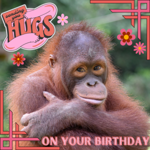 Sending hugs orangutan thoughtful birthday ecard.