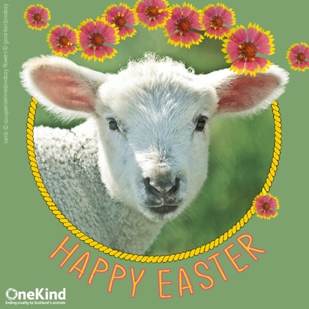 Send Easter greetings eCards
