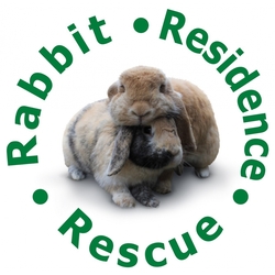 The Rabbit Residence Rescue eCards