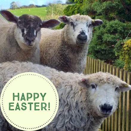 Send Easter E-cards! eCards