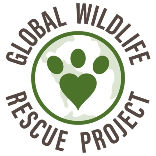Global Wildlife Rescue Project eCards