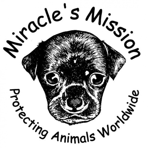 Miracle's Mission eCards